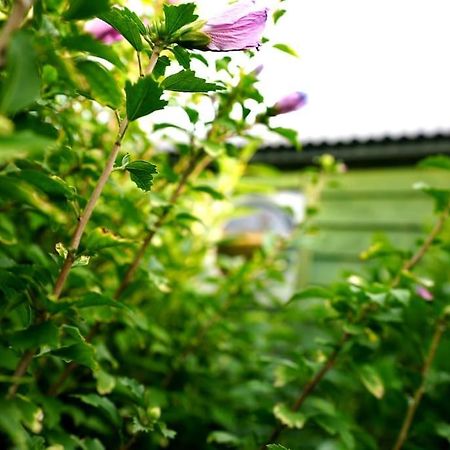 Romantic Retreat - Luxury Shepherds Hut + Hot Tub! Camborne Bagian luar foto